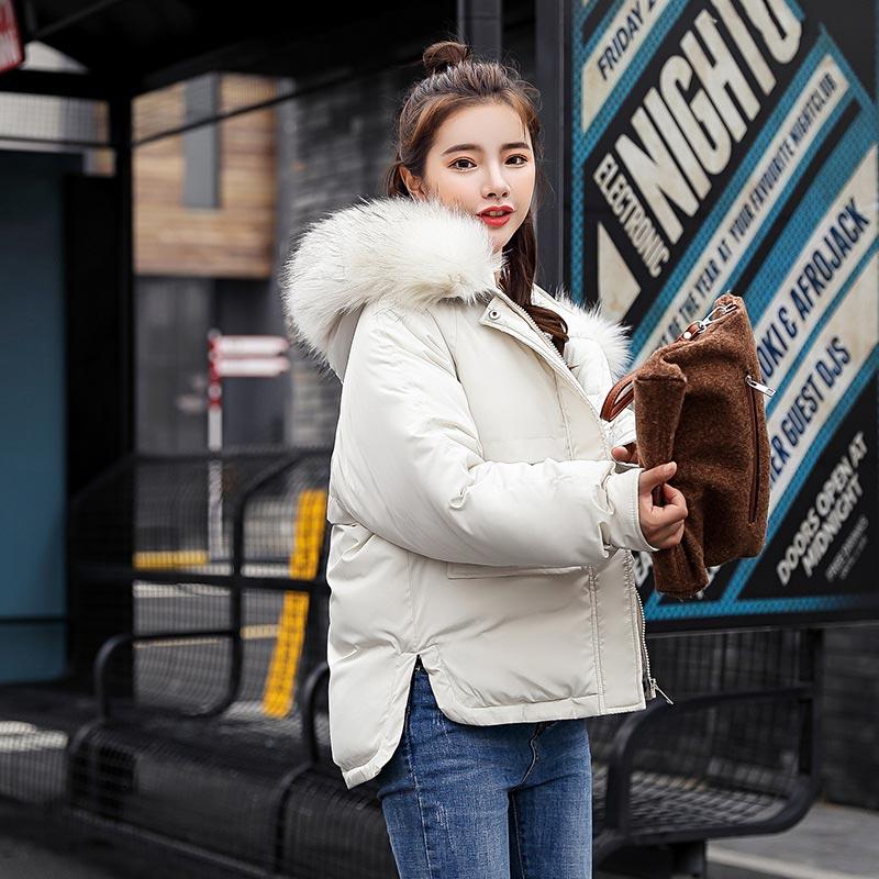 Winter jacket women 2019 fashion warm women down coat female fur collar hooded zipper outwear short winter down jacket women