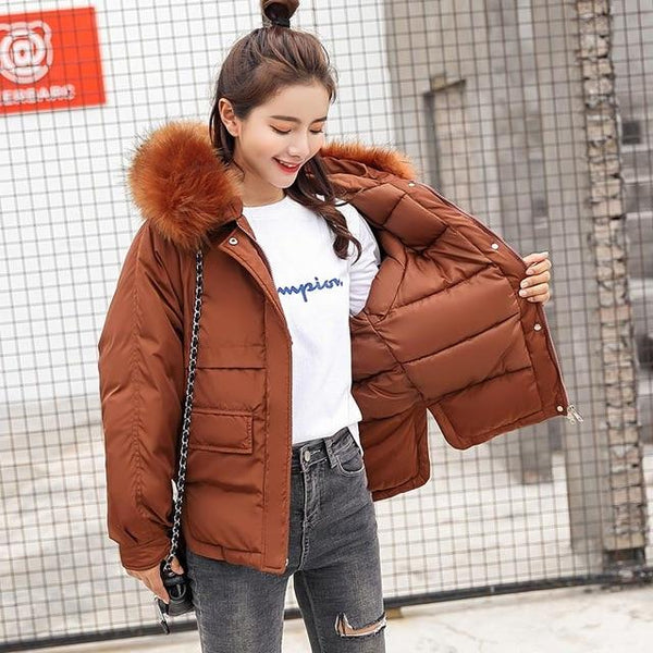 Winter jacket women 2019 fashion warm women down coat female fur collar hooded zipper outwear short winter down jacket women