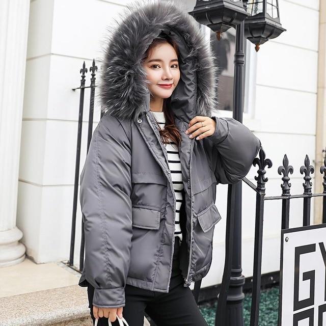 Winter jacket women 2019 fashion warm women down coat female fur collar hooded zipper outwear short winter down jacket women