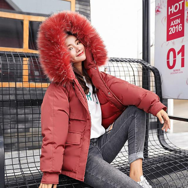 Winter jacket women 2019 fashion warm women down coat female fur collar hooded zipper outwear short winter down jacket women