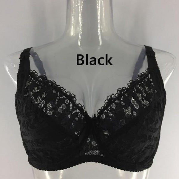 PariFairy New Lace Perspective Bra Women Sexy Lingerie Underwire Embroidery Floral Bralette Plus Size C D E 75 80 85 90 95 100