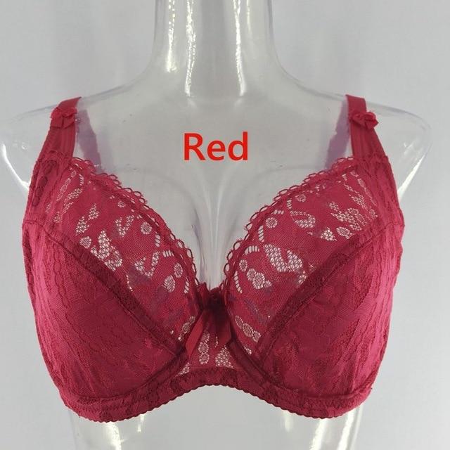 PariFairy New Lace Perspective Bra Women Sexy Lingerie Underwire Embroidery Floral Bralette Plus Size C D E 75 80 85 90 95 100