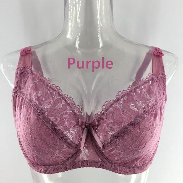 PariFairy New Lace Perspective Bra Women Sexy Lingerie Underwire Embroidery Floral Bralette Plus Size C D E 75 80 85 90 95 100